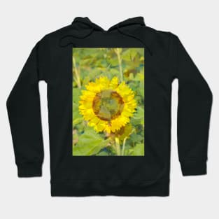 Sunflower, sunflower, abstract, (Helianthus annuus) Hoodie